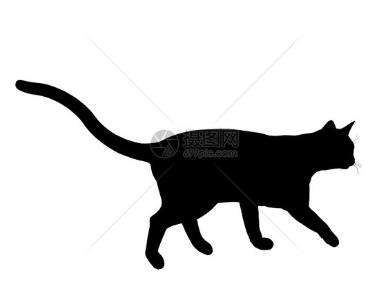 Cat 说明虎斑插图猫咪艺术宠物黑色剪影猫科动物动物图片