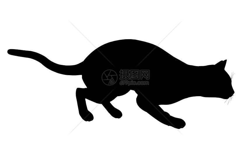 Cat 说明猫科动物宠物猫咪动物剪影插图艺术虎斑黑色图片