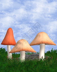 3个蘑菇室的户外背景图片