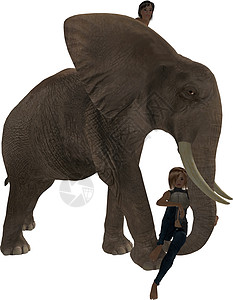 大象上男女孩背景图片
