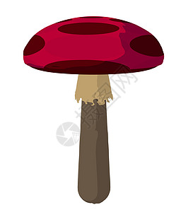 波尔卡圆点蘑菇 艺术说明卡通片艺术品香椿插图图片
