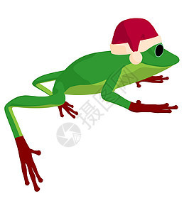 青蛙艺术说明香椿两栖艺术品卡通片动物插图图片