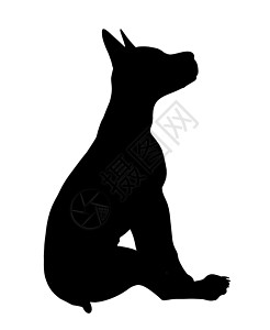 狗狗说明Silhouette花花公子插图动物小狗剪影犬类图片