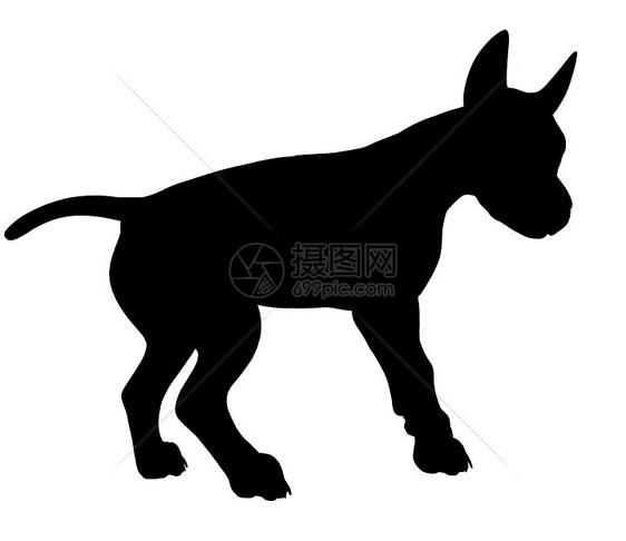 狗狗说明Silhouette剪影犬类小狗动物花花公子插图图片