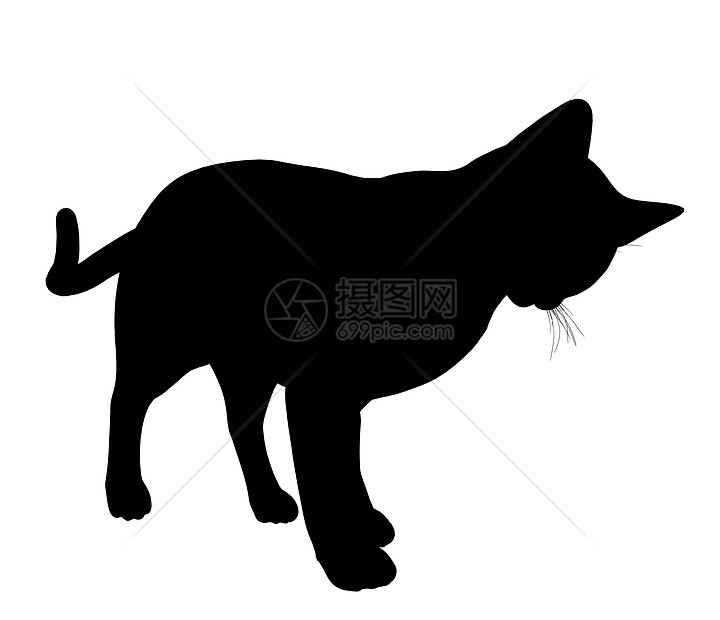 Cat 说明猫咪剪影动物艺术黑色虎斑插图猫科动物宠物图片
