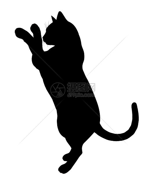 Cat 说明动物虎斑插图猫咪艺术猫科动物宠物黑色剪影图片
