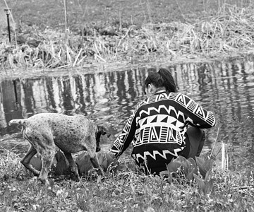 以水为家的狗友谊耳朵宠物指针小狗沼泽公园犬类院子池塘图片