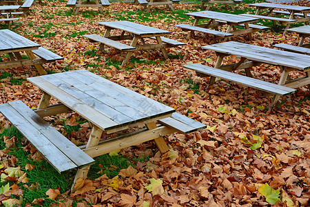 秋天空啤酒花园公园长凳餐厅树叶桌子木头露天咖啡馆图片