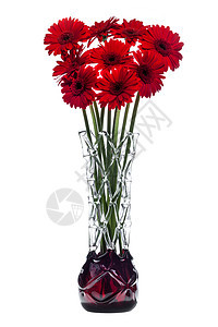 白色背景的白本摘要花瓶 带有红色热贝拉花朵植物群植物花束玻璃活力气味图片