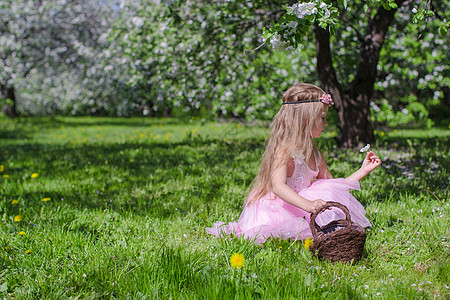 可爱的小女孩在阳光明媚的日子 在盛开的苹果园采花背景图片