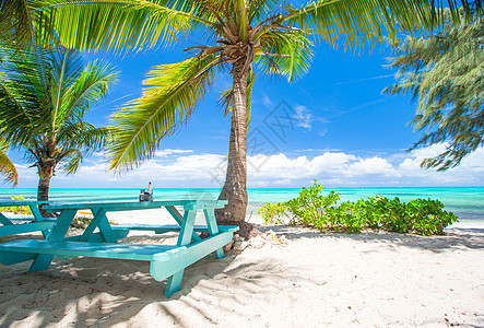 加勒比热带海滩的外门咖啡馆奢华海滩扶手椅家具食堂旅行咖啡店餐厅瓶子假期图片