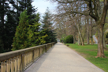 宫宫花园之路图片