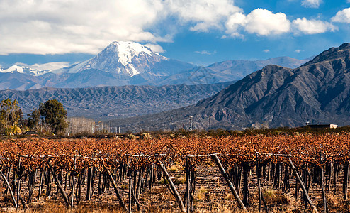 阿孔卡瓜火山和维内亚山 阿孔卡瓜是最高的山峰藤蔓拉丁顶峰收获酒厂美化葡萄园爬坡岩石蓝色图片