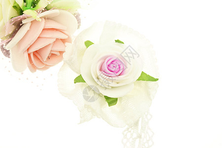 与世隔绝的鲜花白色粉色玫瑰材料面料图片