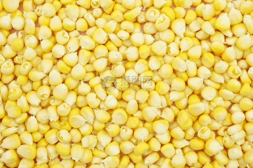 322193114 322193114