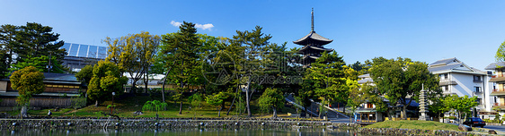 娜拉 日本沙鲁萨瓦池塘建筑学寺庙神社江户宝塔城市反射景观天际佛教徒图片