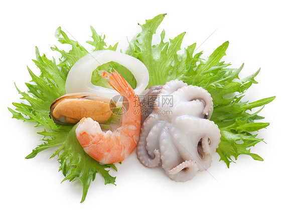 海鸡尾酒章鱼生产魔鬼鱼海鲜食物动物绿色甲壳白色戒指图片
