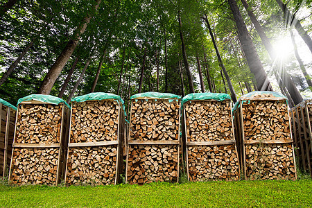 森林中被切碎的木柴林业树干燃料壁炉温暖国家森林库存能量季节图片