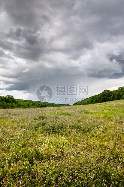 雨在草地上图片