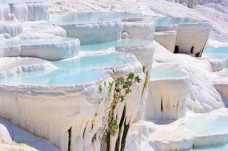 土耳其Pamukkale的蓝水穿河游泳池蓝色水池石灰石青色旅行地质学游客岩石火鸡盆地图片