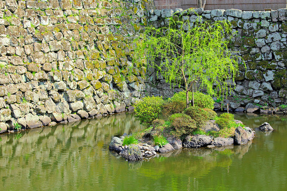 带湖的日本花园公园叶子冥想城堡植物学池塘绿色岩石石头园艺图片