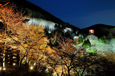 晚上的日本寺庙遗产地标天空历史旅行观光场景森林文化木头图片