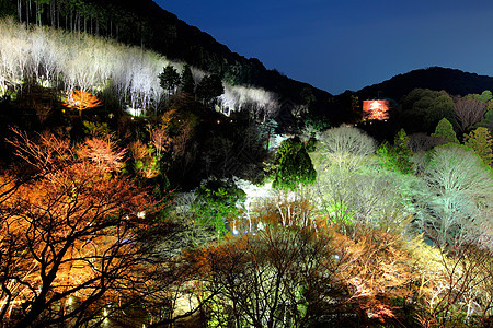 日本寺庙地标建筑神社遗产游客照明木头历史清水旅行图片