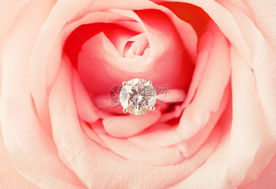 粉红玫瑰订婚戒指图片