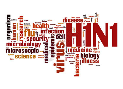 H1N1字云图片