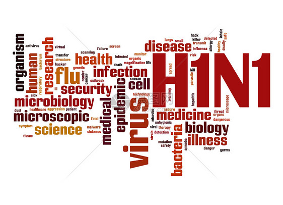 H1N1字云图片