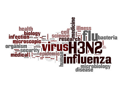 H3N2字云图片