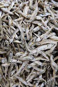 干鱼市场小吃钓鱼海鲜美食盐渍岩石食物背景图片
