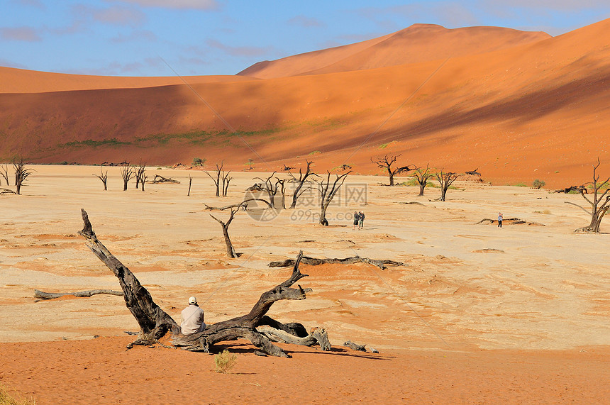 纳米比亚 Dedevlei橙子纳米布荒野干旱沙漠洪水绿洲沙丘图片