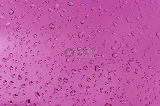水滴数墙纸红色液体宏观粉色图片