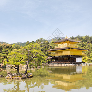 京角寺寺图片