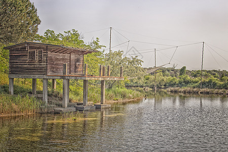 环礁湖上的渔船小屋植物码头松树树木窝棚燕麦分支机构松林森林树叶图片