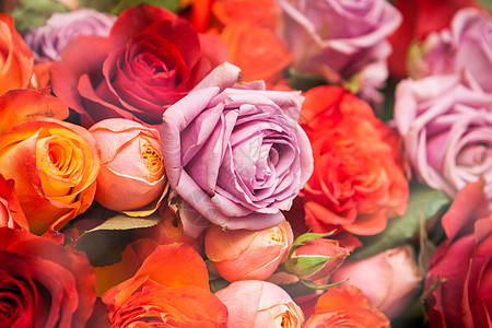 色彩多彩的玫瑰团橙子花店风格装饰纪念日香味植物群花束礼物花艺图片