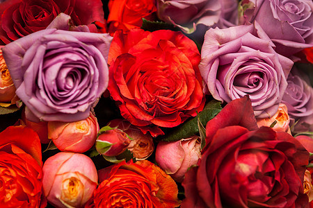 色彩多彩的玫瑰团花店销售花艺风格花朵玫瑰礼物卖花人橙子纪念日背景图片