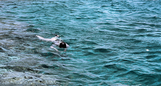 女摄影师潜水进入红海水照片热带相机波浪浮潜呼吸快照红色游泳海浪图片