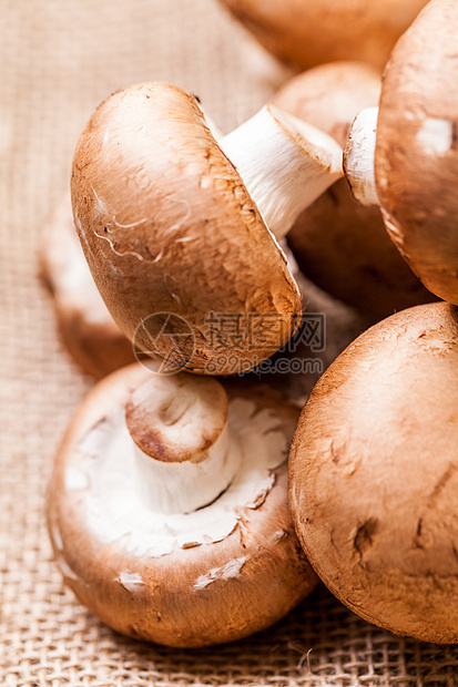 新鲜棕褐色蘑菇麻布美食农场食物蔬菜营养菌类生产饮食美味图片