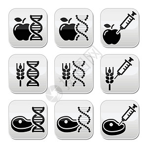 食物DNA 基因扭曲的食品 GMO 图标集注射器争议方法水果实验室生物贮存技术小麦农民图片