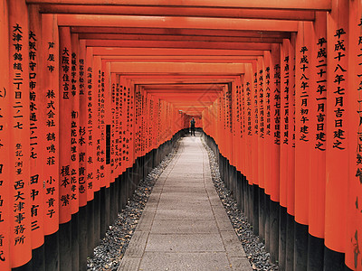 日本京都神社的托里伊橙子旅游旅行神道神社寺庙图片