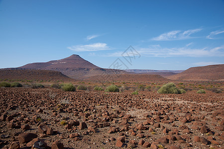 达马拉兰红色荒野干旱衬套天空沙漠火山植被蓝色背景图片
