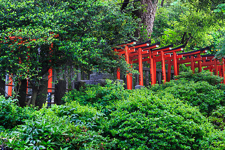 东京信户神庙的托里伊观光橙子历史旅游小路文化神道神社佛教徒入口图片