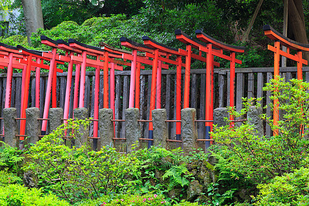 东京信户神庙的托里伊地标遗产神道神社文化历史建筑学精神寺庙橙子图片