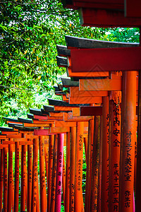 东京信户神庙的托里伊橙子寺庙旅行历史性建筑学历史神社宗教佛教徒旅游图片