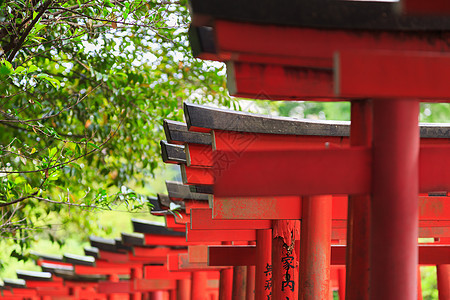 东京信户神庙的托里伊文化寺庙小路地标旅游旅行历史性入口神社建筑学图片