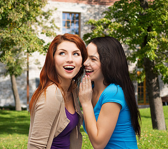 两个笑着笑着的女孩 悄悄地说八卦青少年惊喜青年谣言故事学生耳语女性好奇心幸福图片