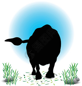公牛休月卡通片宠物黑色夹子绘画艺术点燃动物白色奶牛图片