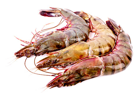 白上隔离的生虾动物餐厅贝类老虎美食海鲜食物宏观国王对虾图片